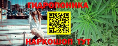 ешки Ливны
