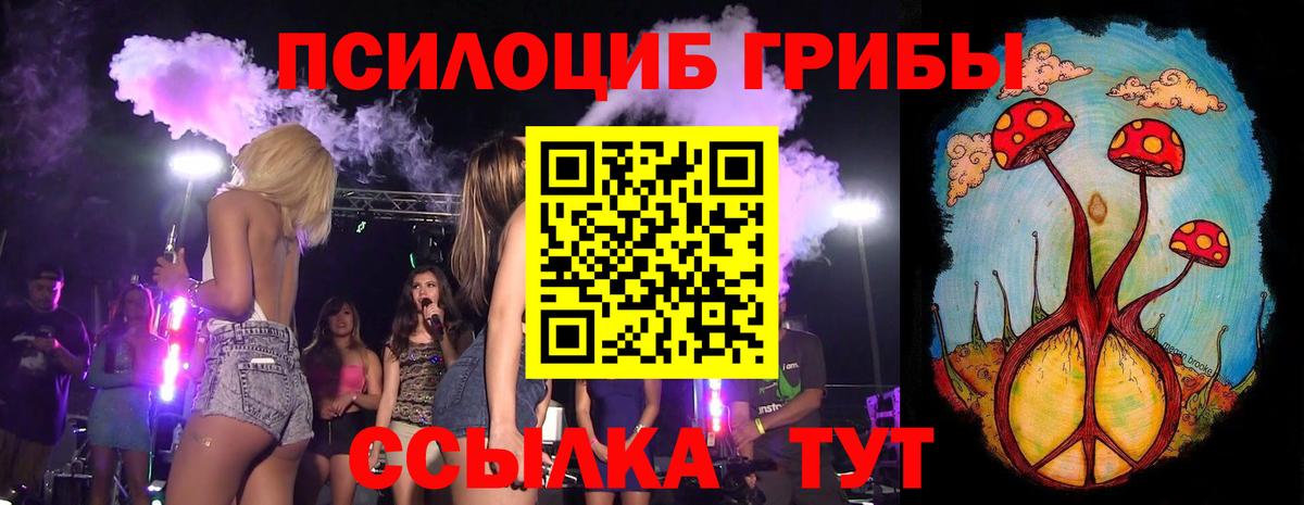 Псилоцибиновые грибы MAGIC MUSHROOMS  Псилоцибиновые грибы MAGIC MUSHROOMS  Гудермес  Вход с VPN 