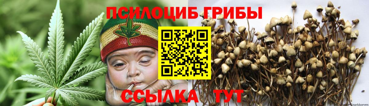 Псилоцибиновые грибы мицелий Гудермес